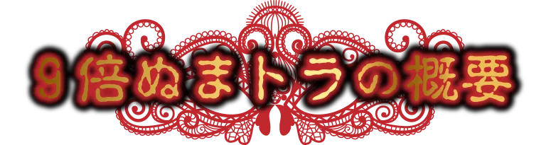 9倍ぬまトラの概要